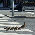andefamilie_512x469px