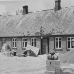 Skadhede billede12