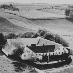 Skadhede billede21