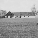 Skadhede billede9